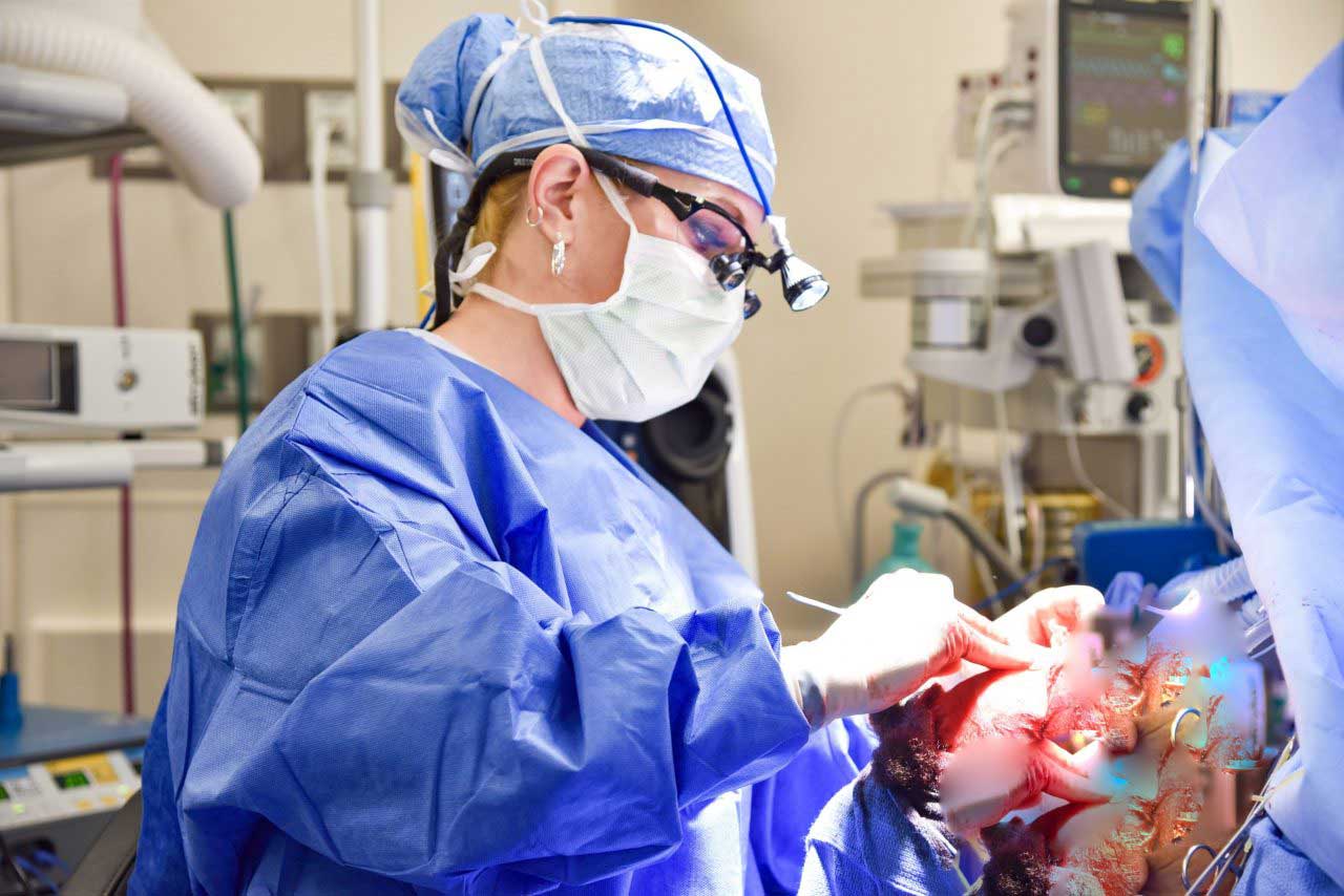 Facial Plastic Surgeon Houston 